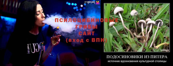 гидра Абаза