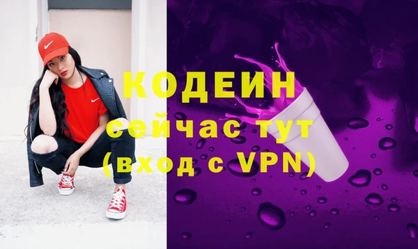 гидра Абаза