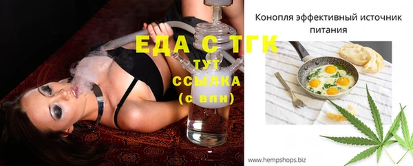 гидра Абаза