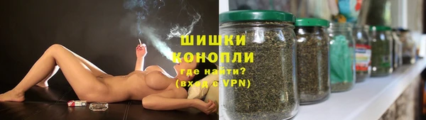 гидра Абаза