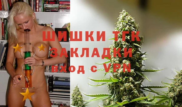 гидра Абаза